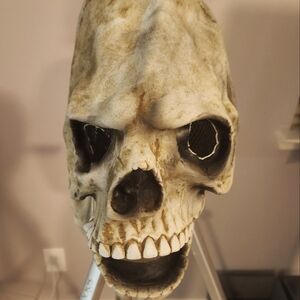 Skull Skeleton Adult Halloween Mask. Eyes and nose have mesh overlay.
